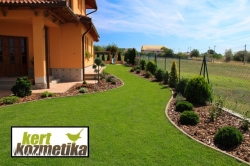 Gyepszőnyeg az első fűnyírás után (28)